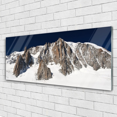 Plexiglas® Wall Art Mountain snow landscape white grey