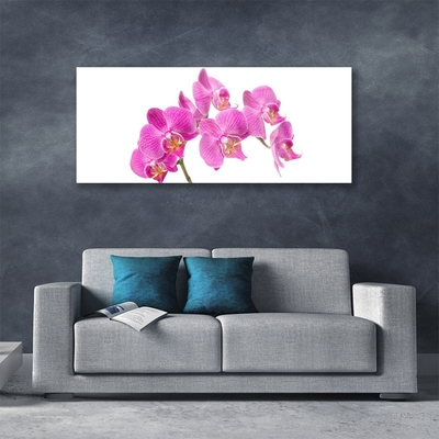 Plexiglas® Wall Art Flowers floral pink