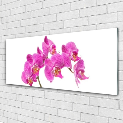 Plexiglas® Wall Art Flowers floral pink