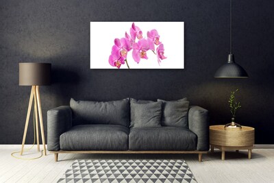 Plexiglas® Wall Art Flowers floral pink