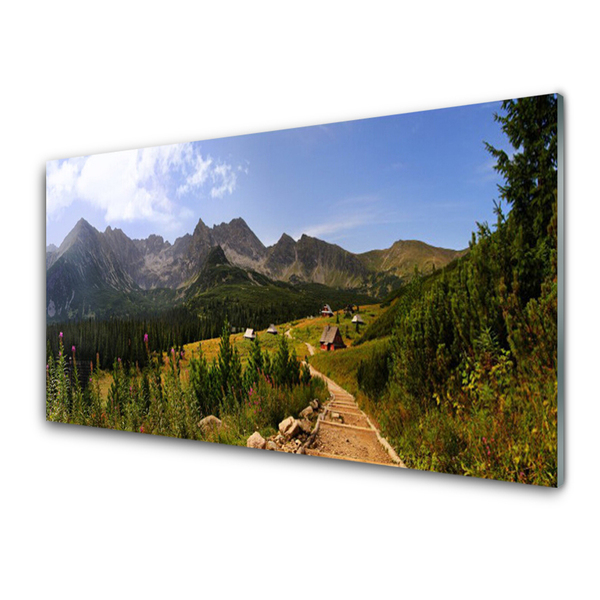 Plexiglas® Wall Art Mountain forest nature grey green