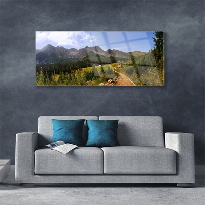 Plexiglas® Wall Art Mountain forest nature grey green