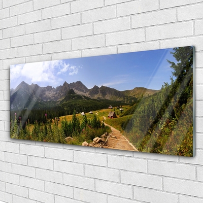 Plexiglas® Wall Art Mountain forest nature grey green