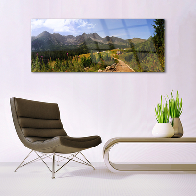 Plexiglas® Wall Art Mountain forest nature grey green