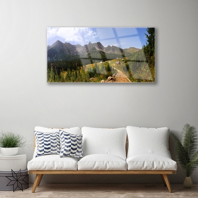 Plexiglas® Wall Art Mountain forest nature grey green