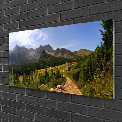 Plexiglas® Wall Art Mountain forest nature grey green