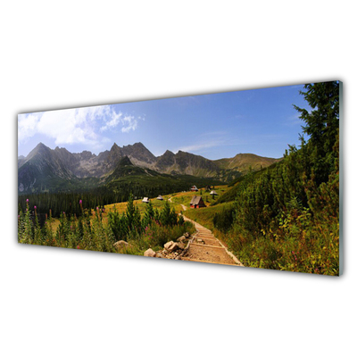 Plexiglas® Wall Art Mountain forest nature grey green