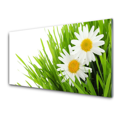 Plexiglas® Wall Art Grass daisies floral green yellow white