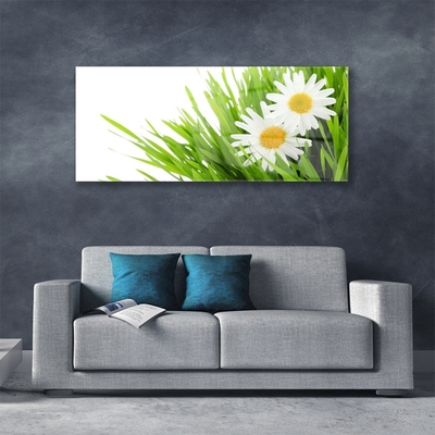 Plexiglas® Wall Art Grass daisies floral green yellow white