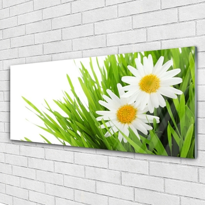 Plexiglas® Wall Art Grass daisies floral green yellow white