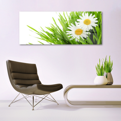 Plexiglas® Wall Art Grass daisies floral green yellow white