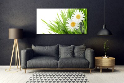 Plexiglas® Wall Art Grass daisies floral green yellow white