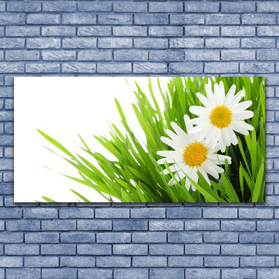 Plexiglas® Wall Art Grass daisies floral green yellow white