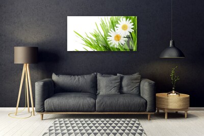 Plexiglas® Wall Art Grass daisies floral green yellow white