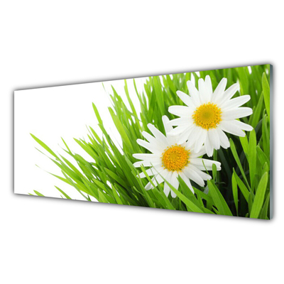 Plexiglas® Wall Art Grass daisies floral green yellow white