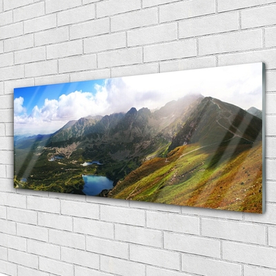 Plexiglas® Wall Art Mountain meadow landscape grey green