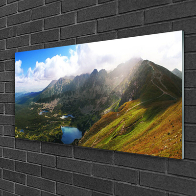 Plexiglas® Wall Art Mountain meadow landscape grey green