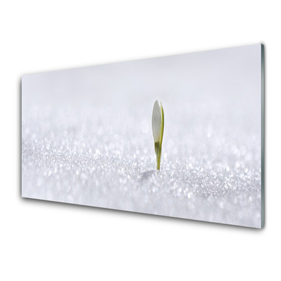Plexiglas® Wall Art Flower floral green white
