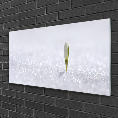Plexiglas® Wall Art Flower floral green white