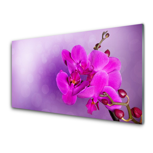 Plexiglas® Wall Art Flowers floral pink