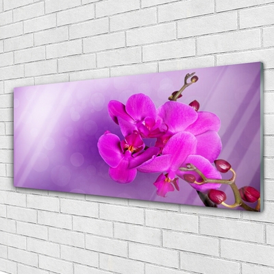 Plexiglas® Wall Art Flowers floral pink