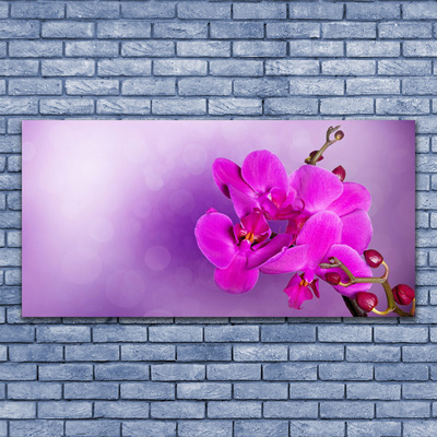 Plexiglas® Wall Art Flowers floral pink