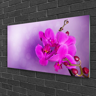 Plexiglas® Wall Art Flowers floral pink