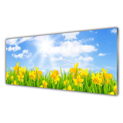 Plexiglas® Wall Art Jonquille sun floral green yellow white