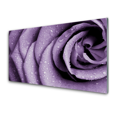 Plexiglas® Wall Art Rose floral purple