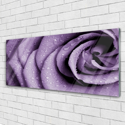 Plexiglas® Wall Art Rose floral purple