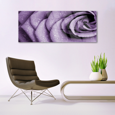 Plexiglas® Wall Art Rose floral purple