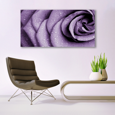 Plexiglas® Wall Art Rose floral purple