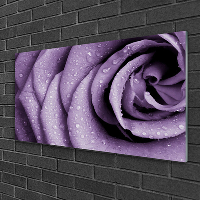 Plexiglas® Wall Art Rose floral purple