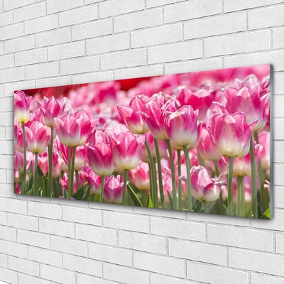 Plexiglas® Wall Art Tulips floral green white red