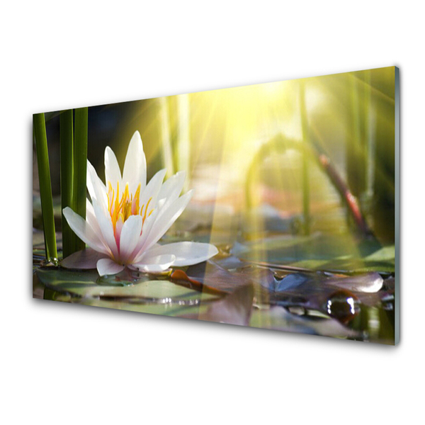 Plexiglas® Wall Art Flowers water floral white green