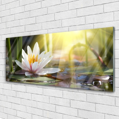 Plexiglas® Wall Art Flowers water floral white green