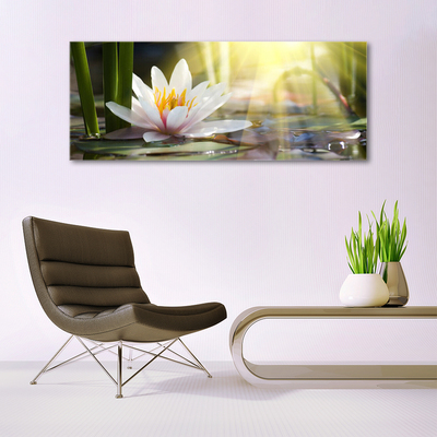 Plexiglas® Wall Art Flowers water floral white green