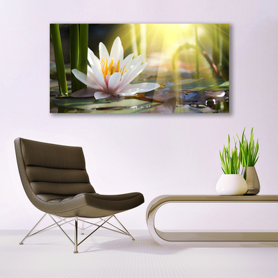 Plexiglas® Wall Art Flowers water floral white green