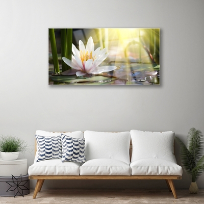 Plexiglas® Wall Art Flowers water floral white green