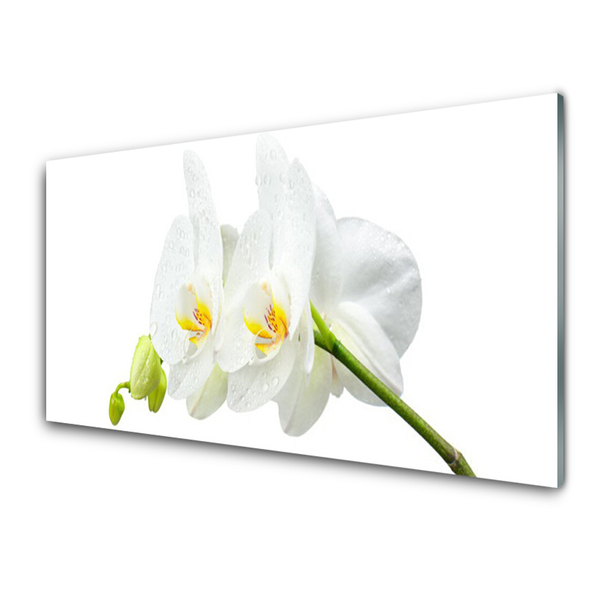 Plexiglas® Wall Art Flowers floral white