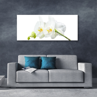 Plexiglas® Wall Art Flowers floral white