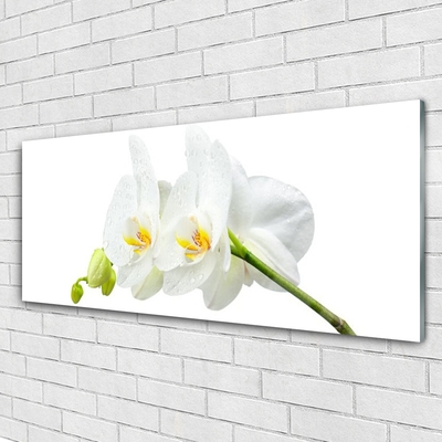 Plexiglas® Wall Art Flowers floral white