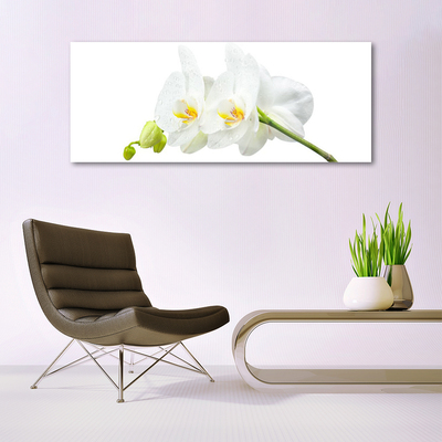 Plexiglas® Wall Art Flowers floral white