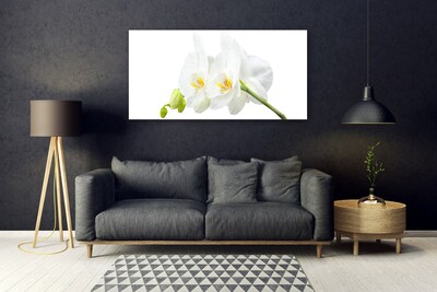 Plexiglas® Wall Art Flowers floral white