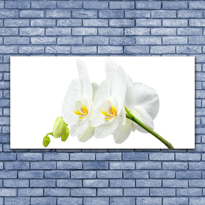 Plexiglas® Wall Art Flowers floral white