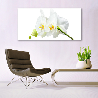 Plexiglas® Wall Art Flowers floral white