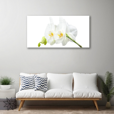 Plexiglas® Wall Art Flowers floral white