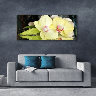 Plexiglas® Wall Art Petal floral green