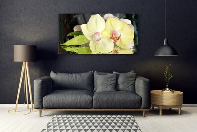 Plexiglas® Wall Art Petal floral green