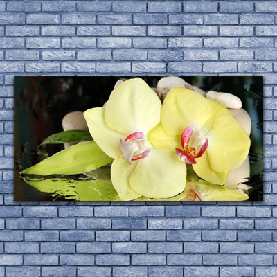 Plexiglas® Wall Art Petal floral green